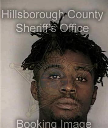 Bryan Williams - Hillsborough County, FL 