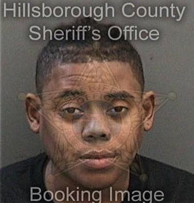Victoria Binkley - Hillsborough County, FL 
