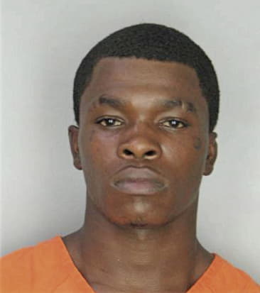 Michael Brown, - Hillsborough County, FL 