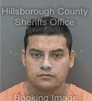 Robert Brown, - Hillsborough County, FL 