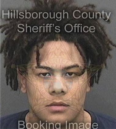 Carnell Pippins, - Hillsborough County, FL 