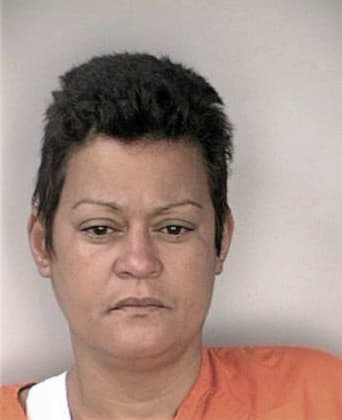 Yarina Rodriguez, - Hillsborough County, FL 