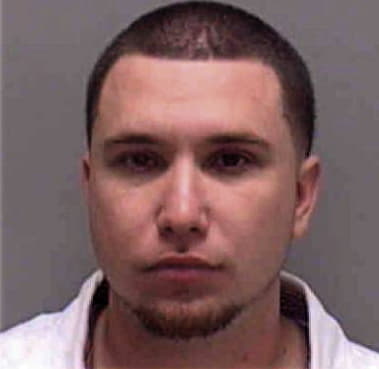 Neslon Santos-Hilario, - Lee County, FL 