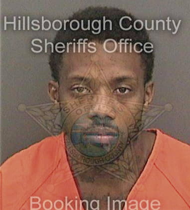 Johnathan Silien, - Hillsborough County, FL 