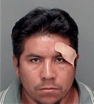 Paul Smith - Pinellas County, FL 