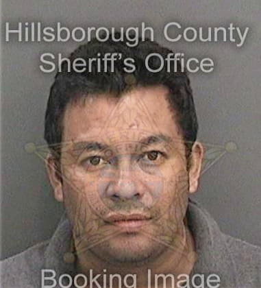 Joshua Try, - Hillsborough County, FL 