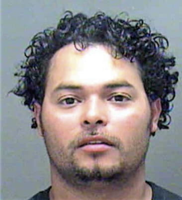 Merlin Delgado, - Mecklenburg County, NC 