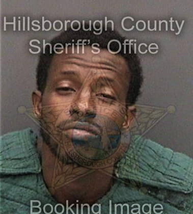 Leonard Henry - Hillsborough County, FL 