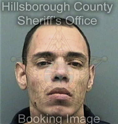 Dominic James, - Hillsborough County, FL 