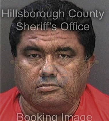 Richard McElveen - Hillsborough County, FL 