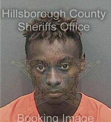 Josue Ortega, - Hillsborough County, FL 