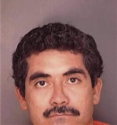 Fernando Celaya, - Polk County, FL 