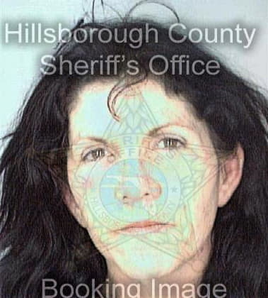 Misti Key, - Hillsborough County, FL 