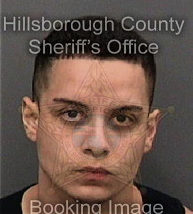 Michael Surles, - Hillsborough County, FL 