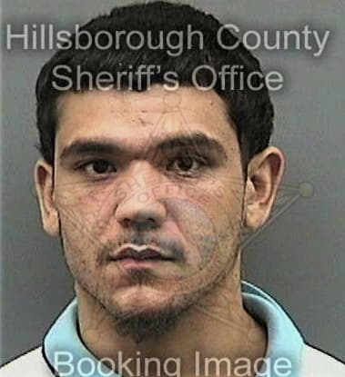 Mario Alfonso, - Hillsborough County, FL 