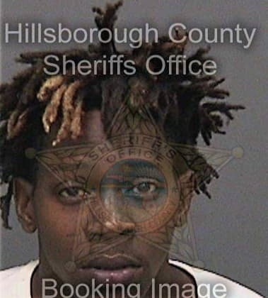 James Clinton - Hillsborough County, FL 