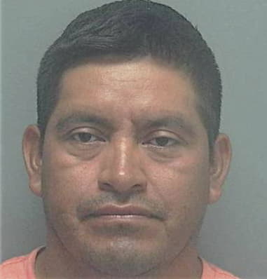 Javier Cruz-Alicea, - Lee County, FL 