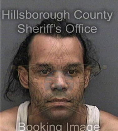 Ioannis Galouzis, - Hillsborough County, FL 