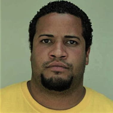 Lawrence Henson - Hillsborough County, FL 