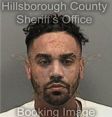 Matthew Logan, - Hillsborough County, FL 