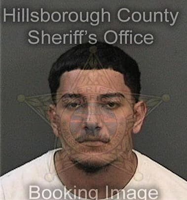 Anthony Swift, - Hillsborough County, FL 