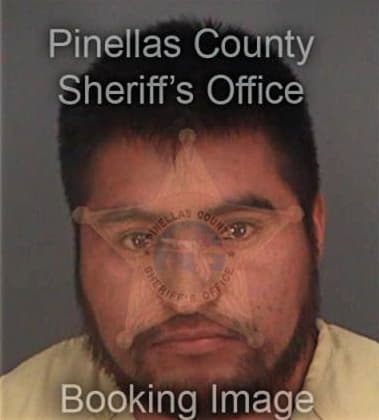 Julio Torres, - Pinellas County, FL 