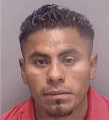 Fernando Bouza, - Lee County, FL 