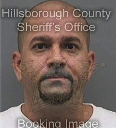 Delmiro Garcia, - Hillsborough County, FL 