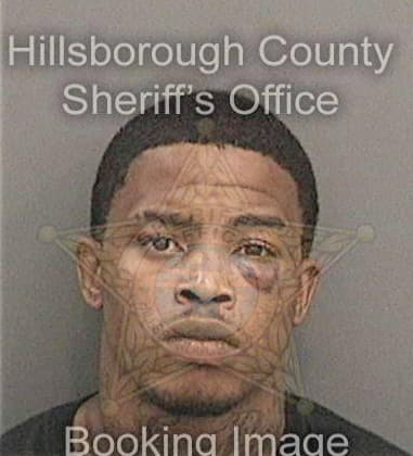 Christopher Johnson, - Hillsborough County, FL 