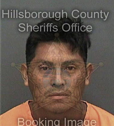 Santos Martingodinez, - Hillsborough County, FL 