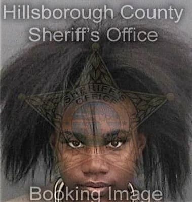 Ashley Melvin - Hillsborough County, FL 