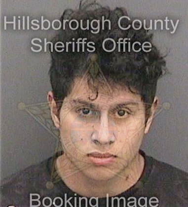 Jeffrey Sands, - Hillsborough County, FL 