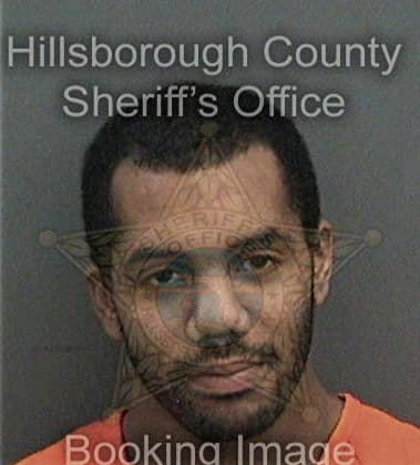 Mark Thompson, - Hillsborough County, FL 