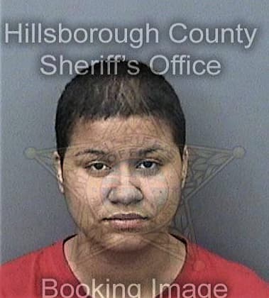 Ann Cheramie - Hillsborough County, FL 
