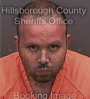 Jose Hernandez-Salazar - Hillsborough County, FL 