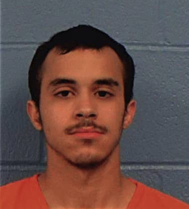 Kenneth-Ray Nowlin - Williamson County, TX 