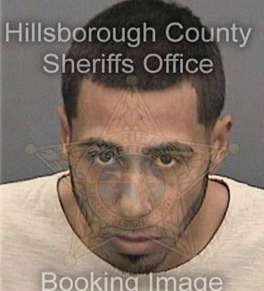 Irineo Rodriguezmanzanarez, - Hillsborough County, FL 