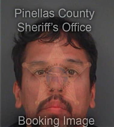 Amardeep Singh - Pinellas County, FL 