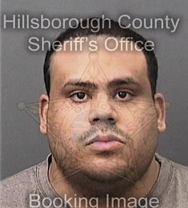 Shawn Smith, - Hillsborough County, FL 