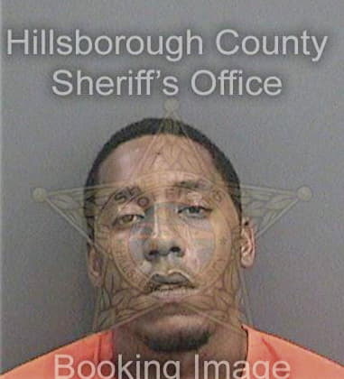 Omar Villafane, - Hillsborough County, FL 