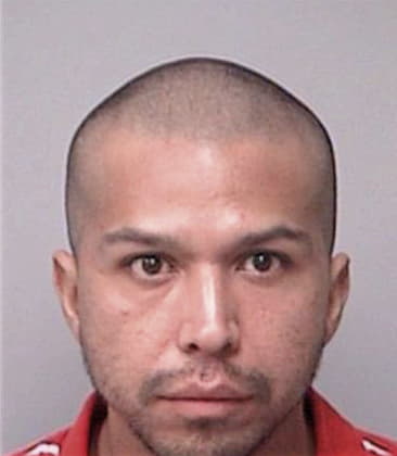 Miguel Ambrizzapien, - Pinellas County, FL 