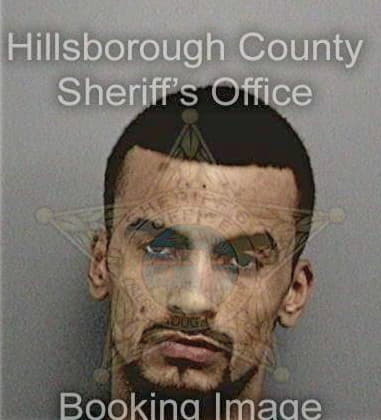 Karl Beasley, - Hillsborough County, FL 