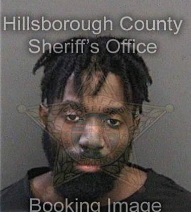 Michael Bridgeman - Hillsborough County, FL 