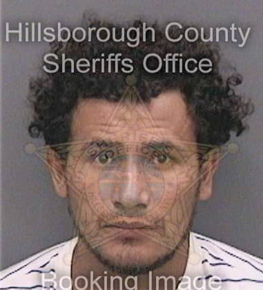 David Goldberg, - Hillsborough County, FL 