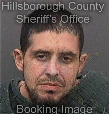 Fredy Gomez-Perez, - Hillsborough County, FL 