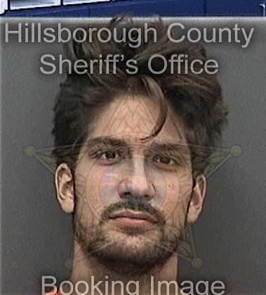 Ismael Pagancordoba, - Hillsborough County, FL 