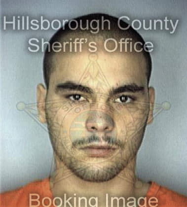 Ricardo Torres, - Hillsborough County, FL 