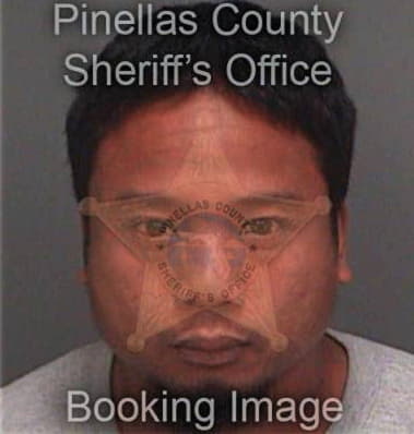 Xiong Chen, - Pinellas County, FL 