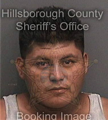 Rickey Garey, - Hillsborough County, FL 