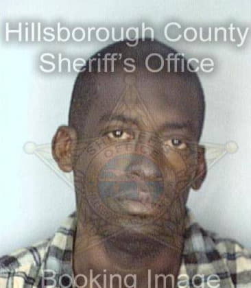 Stephen Higgins, - Hillsborough County, FL 